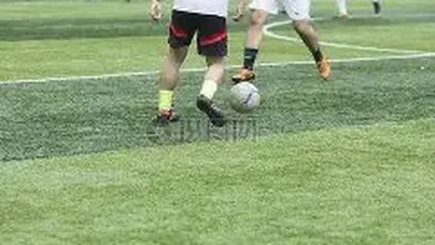 巅峰对决即将开启！乒乓球男单4强揭晓，中日瑞三强争霸，12月14日赛事日历提前曝光！