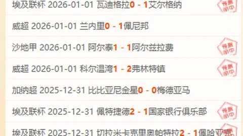 胡梅尔斯助多特蒙德2-0胜巴黎，晋级欧冠决赛